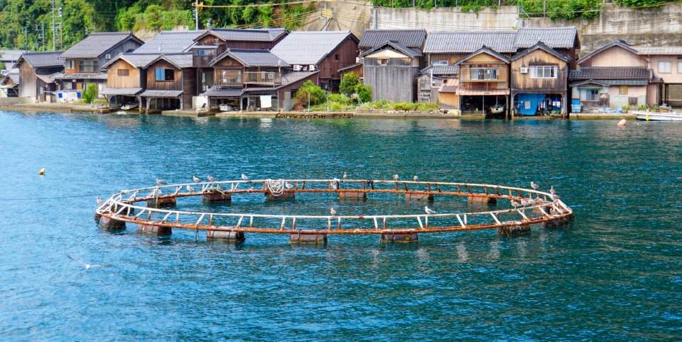 活用可能分野｜水産業